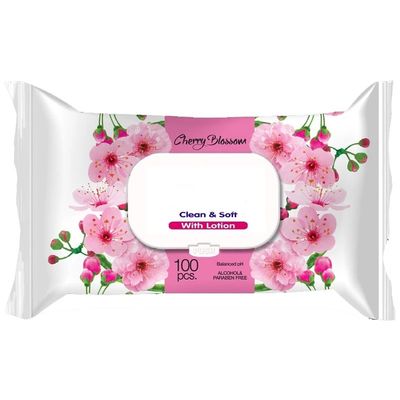 OEM Nonwoven Wet Wipes, Alcohol Free Disinfectant Wipes